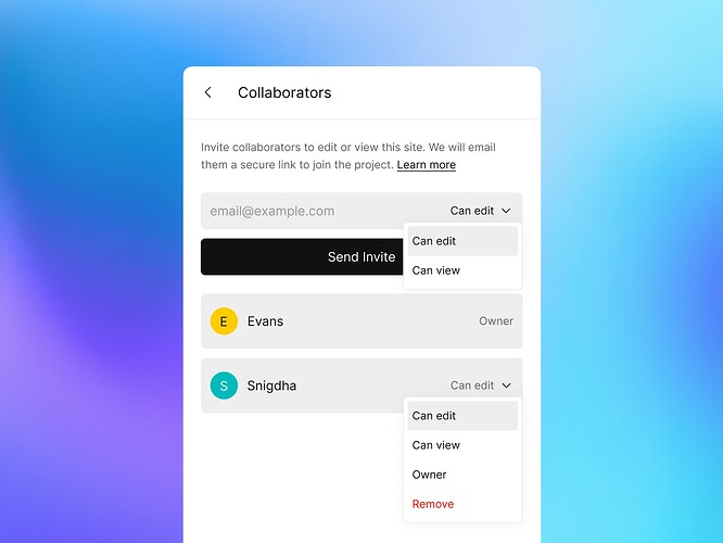 Screenshot of the 'Collaborators' section in the Vzy platform interface, featuring an input field to invite collaborators via email, a 'Send Invite' button, and a dropdown menu for setting permissions such as 'Can Edit', 'Can View', and 'Owner'. Below are listed current collaborators with toggle switches for access permissions and a 'Remove' option